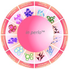 Universal 3D cell culture...