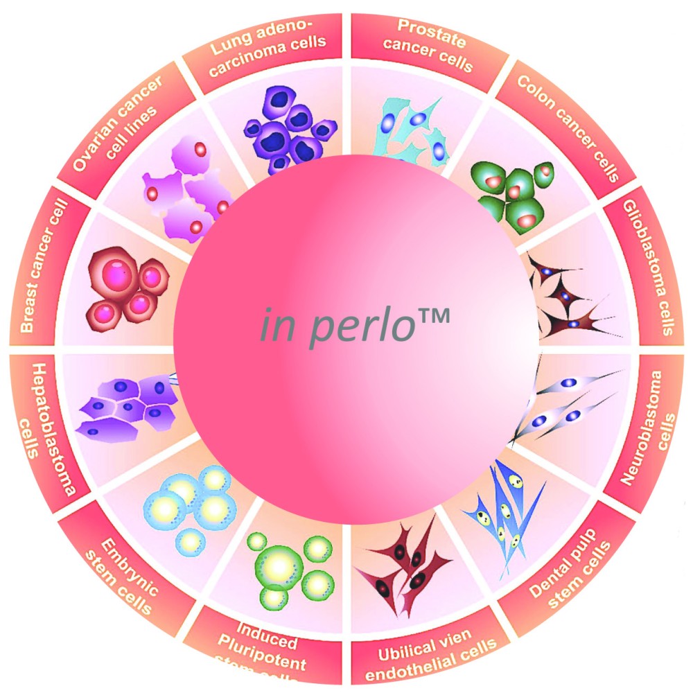 Universal 3D cell culture in perlo™ Plate