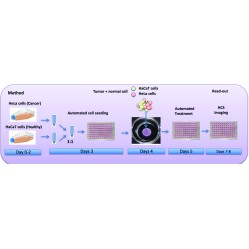 Universal 3D cell culture in perlo™ Plate