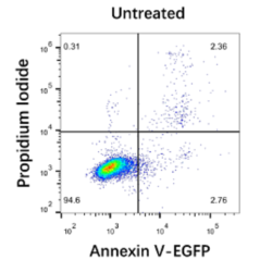 Annexin V-EGFP/PI Cell...