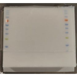 Pre-Cast Gel (4-12% Tris SwePAGE Tris SwePAGE -11-well)