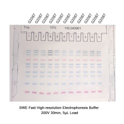Pre-Cast Gel (10% Tris SwePAGE -11-well)