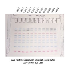 Pre-Cast Gel (10% Tris...