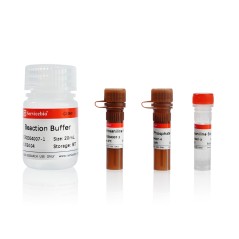 TRAP Staining Kit 50T