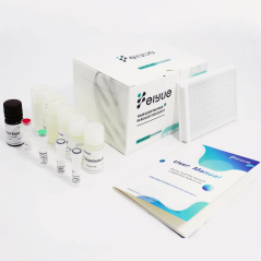 Human IL-1β(Interleukin 1...