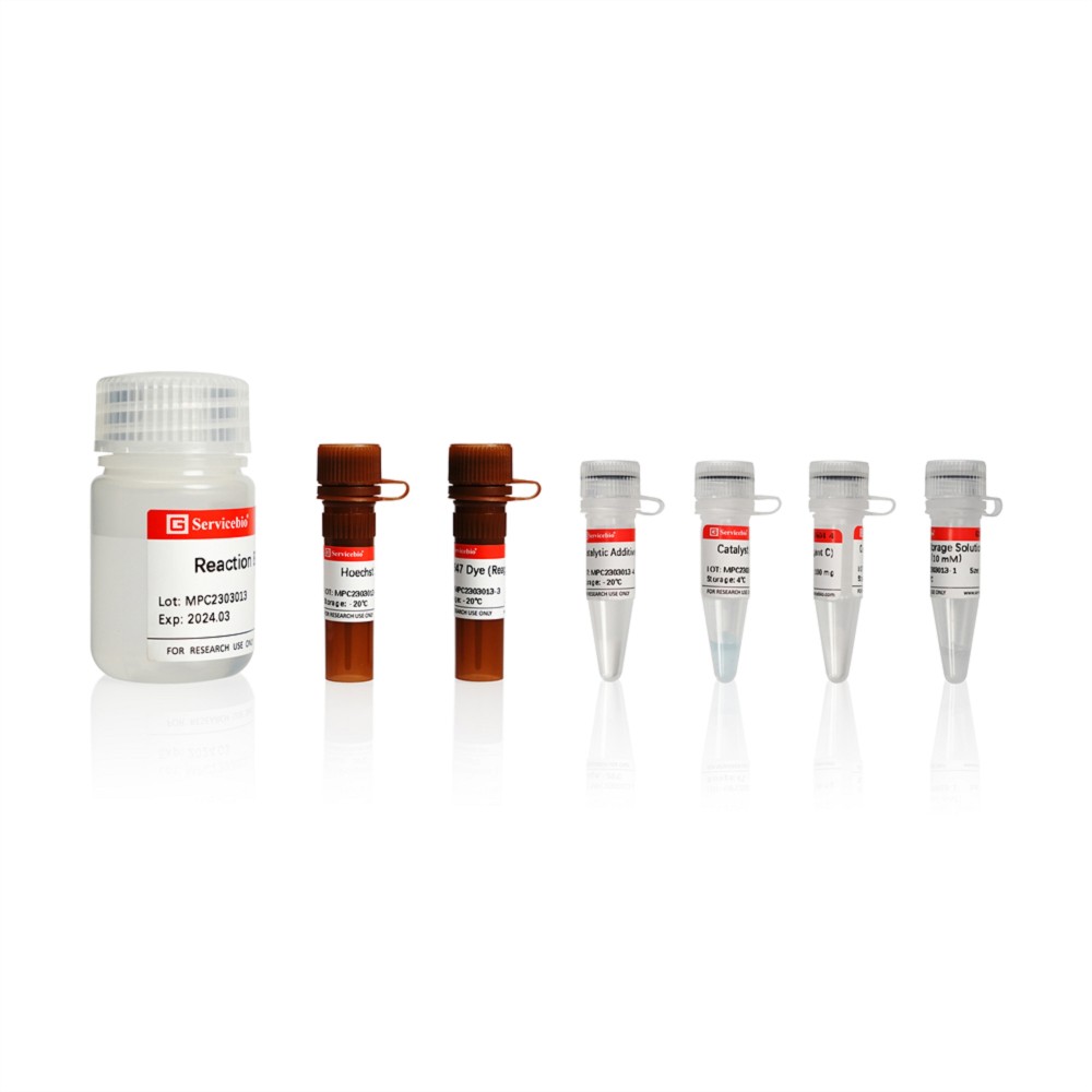 Click-iT EdU-647 Cell Proliferation Assay Kit 100T