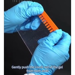 Pre-Cast Gel (4-12% Tris SwePAGE Tris SwePAGE -11-well)