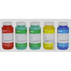 Gel Casting System Solution...