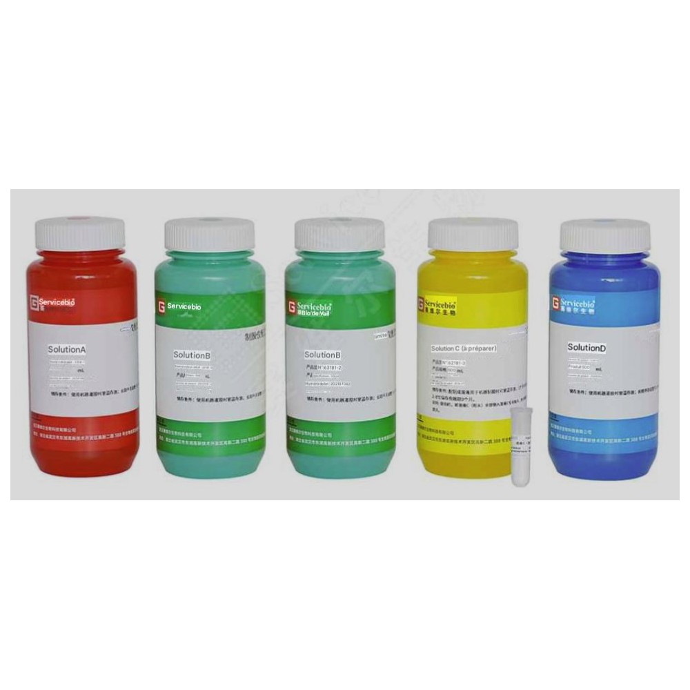 Gel Casting System Solution Set