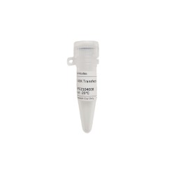PEI 40K Transfection Reagent