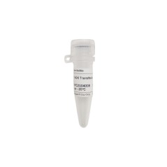 PEI 40K Transfection Reagent