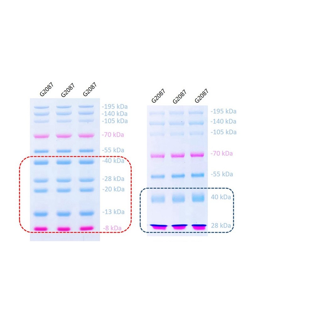 SWE Rapid High Resolution Running Buffer (Powder)