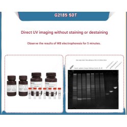 One-step stain-free...