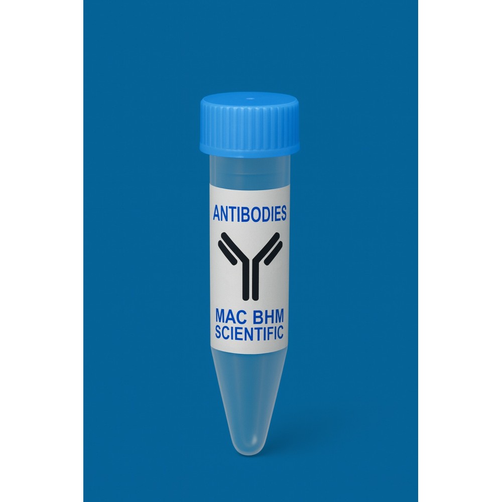 Anti-Interleukin IL-17A mAb, Primary Antibody