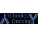 Antibodies Oncology